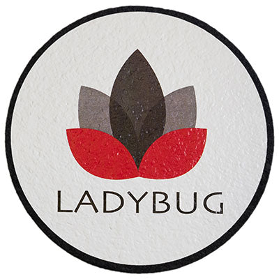 Dr. Ladybug - 8"